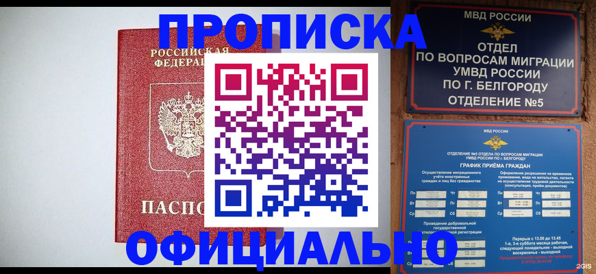 прописка поиск в Санкт-Петербурге